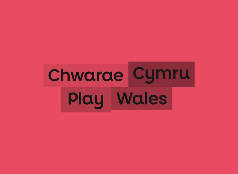 Gweithiwr Chwarae – gweithgareddau awyr agored