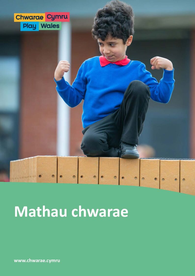 Mathau Chwarae
